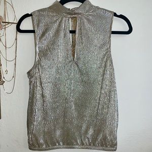 Shiny silver top from Express